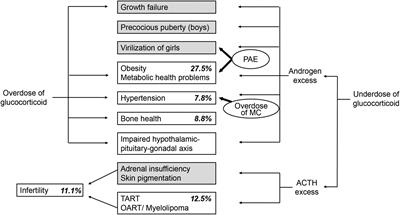 Toward Improving the Transition of Patients With Congenital Adrenal Hyperplasia From Pediatrics to Adult Healthcare in Japan